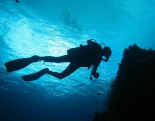  Herrliches Meer - 999 - Tridacne Sub Logo 